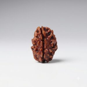 Tin Mukhi Rudraksha