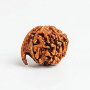 Ganesh Rudraksha